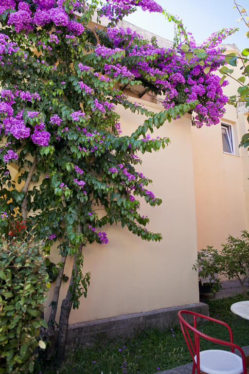 Apartments Angela Budva Exterior photo
